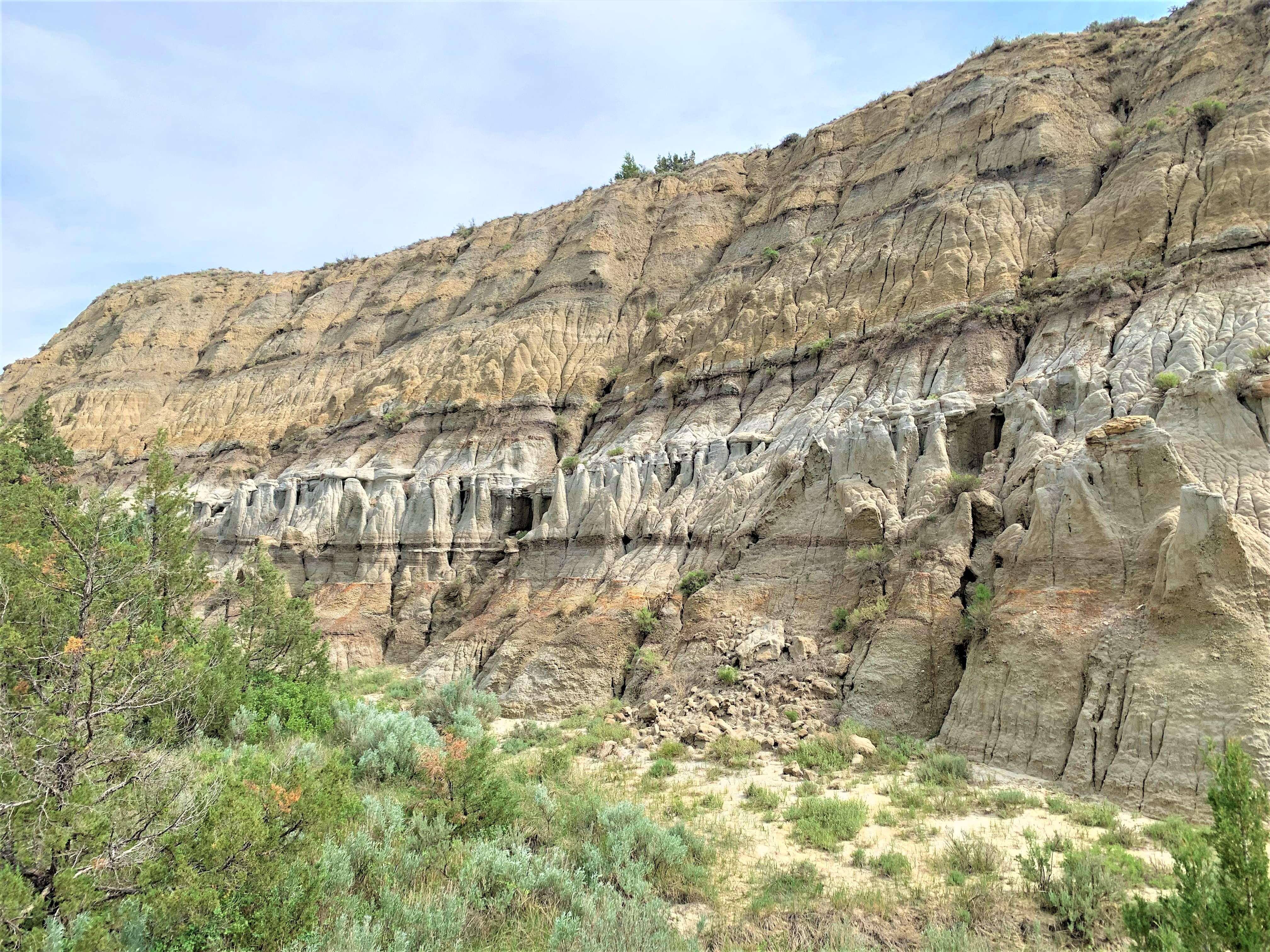 Theodore Roosevelt NP